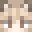 Xcraftgamer001's head