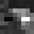xNokter's head