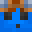 RiGuy595's head
