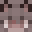 Mr_Warzone's head