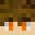 FlameoftheEnd's head