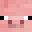 DuolingoBRL's head