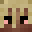 fullcs's head