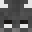 WaychPlayz's head