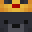 wxctor's head