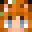 GingerCraft__'s head