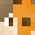 drshulker's head