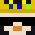 EnderCookieGod's head