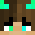 _PaleciakPL_'s head
