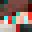 Nonol1337's head