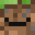GrassonFire's head