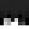 zdxjav's head