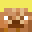 GoblinSlayer11C's head