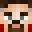 FireWtap's head