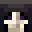 Baerliiii's head