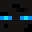 wintersnipe's head