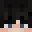 NicoNinja_12's head