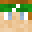 _Nickedpvper's head