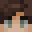 Psqlm's head