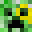 Protecticn's head