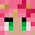 Yuma2212's head