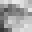 Kingrotsn's head