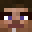 DrunkenSteve's head