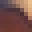 noxfen's head