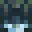 sharkfizz's head