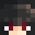 XAIC2013's head