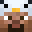 Kov__'s head