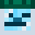 rob1d7r's head