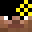 Pickleman_47's head