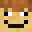 FLOPPY672's head