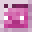 Pinxame's head