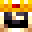 Holovent's head