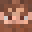 Squ3arki's head