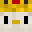 pinguin4949's head