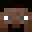 Plode's head