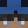 Tech_Lua's head
