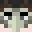 SoaringTales's head