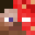 ItsSilentDuck's head