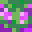 _TRANQUE_'s head