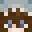 deadloxYT99's head