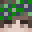 Mintcool_'s head