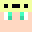 hsit's head