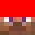 MinecraftHoppel's head