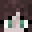 TheBooki's head