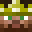 Virtual_Pixels's head