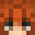 Jrexhax's head